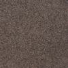 brown marine carpet