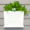 Herb Garden Wall Kit